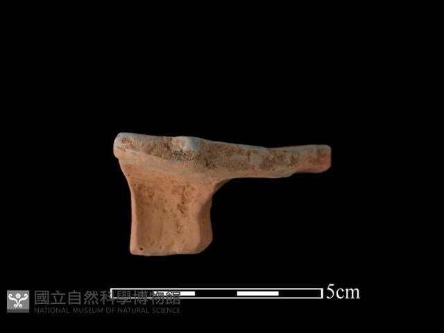 陶片藏品圖，第1張