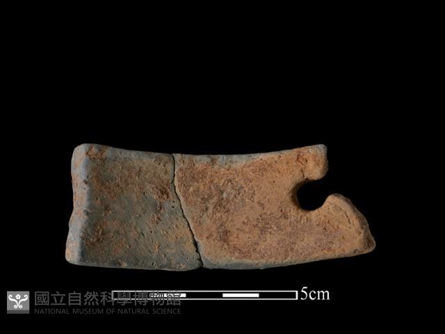 陶片藏品圖，第2張