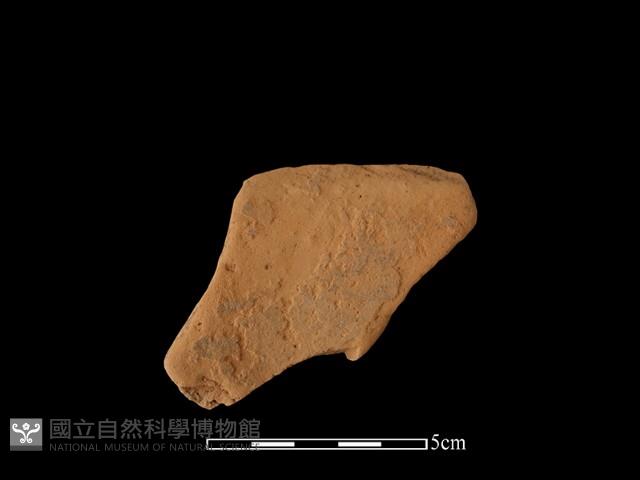 陶缽藏品圖，第1張