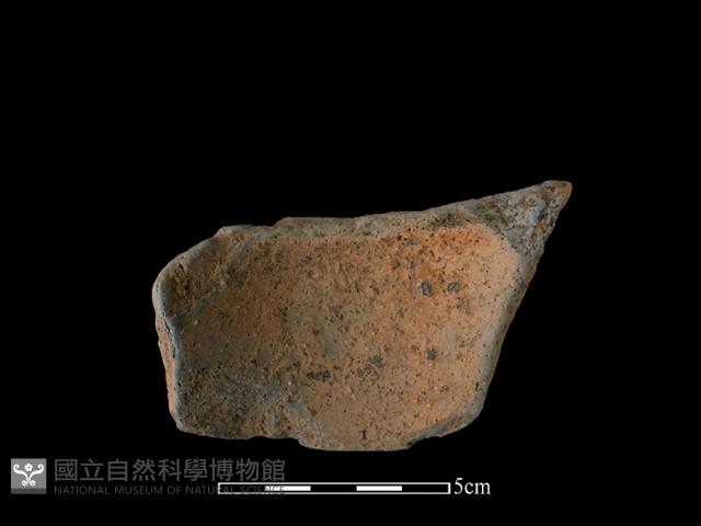 陶片藏品圖，第2張