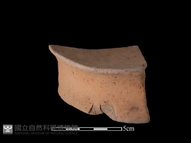 陶片藏品圖，第3張