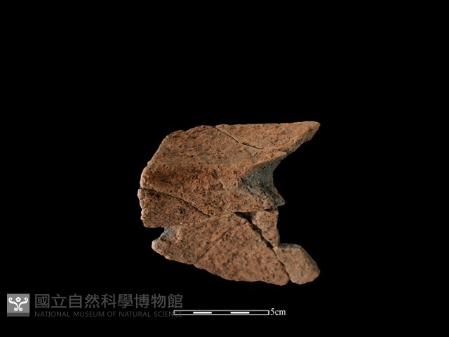 陶罐藏品圖，第1張