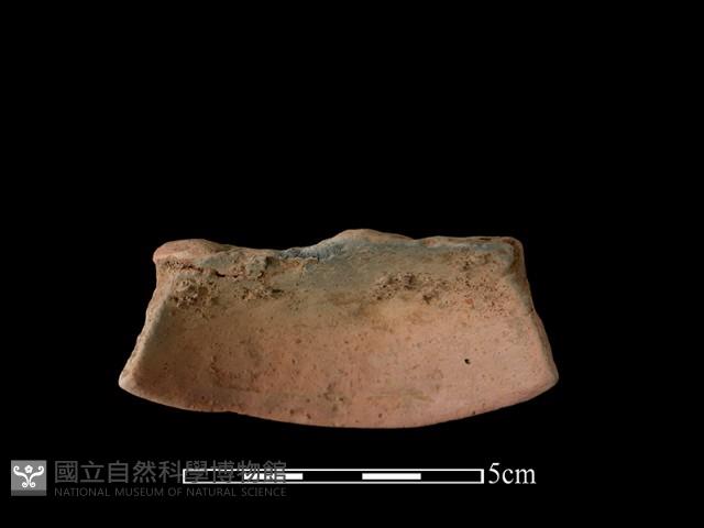 陶片藏品圖，第2張