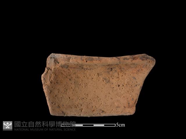 陶片藏品圖，第2張