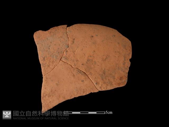 陶片藏品圖，第2張