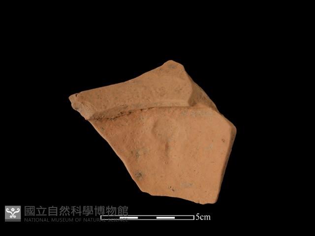 陶片藏品圖，第1張