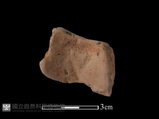 陶片藏品圖，第2張