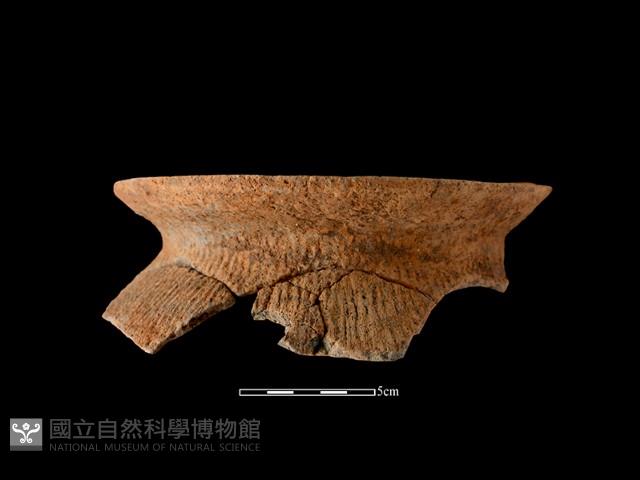 陶罐藏品圖，第2張