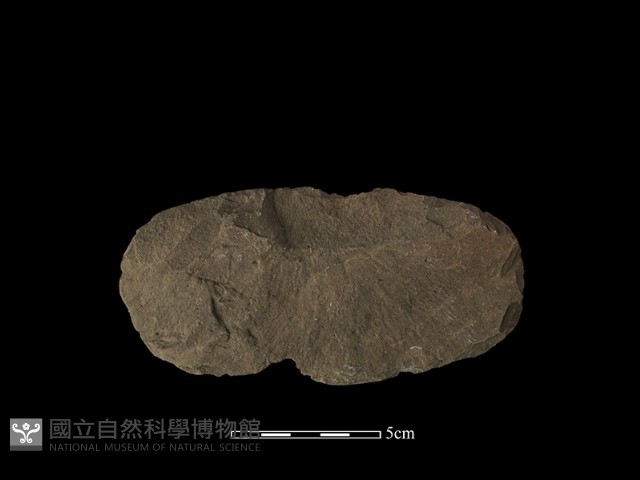 打製石刀藏品圖，第2張