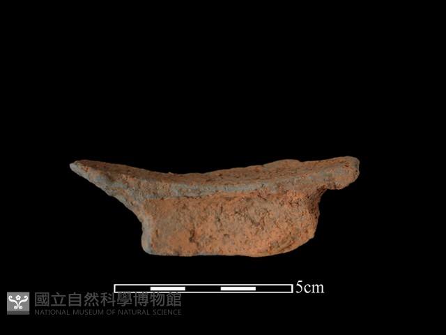 陶片藏品圖，第2張