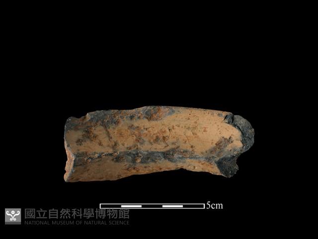 陶罐藏品圖，第1張