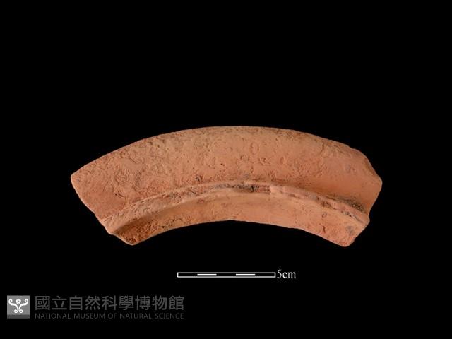 連杯形器藏品圖，第2張