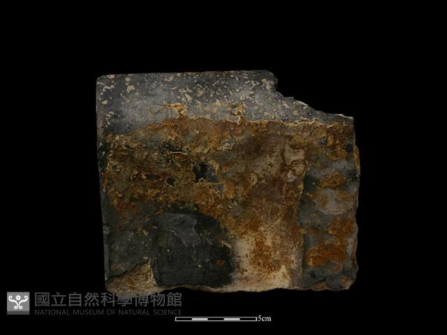 瓦片藏品圖，第2張