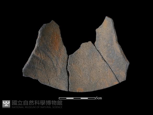 陶片藏品圖，第1張