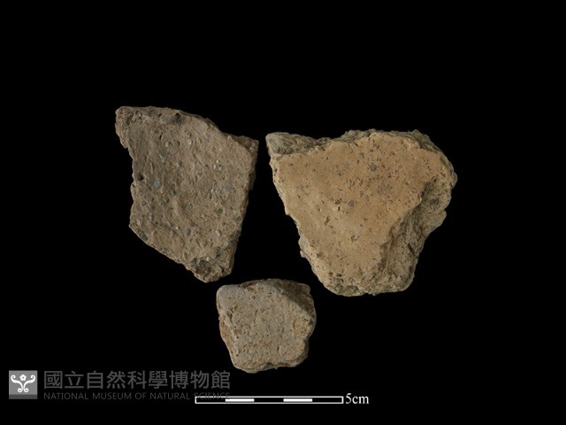 陶片藏品圖，第1張