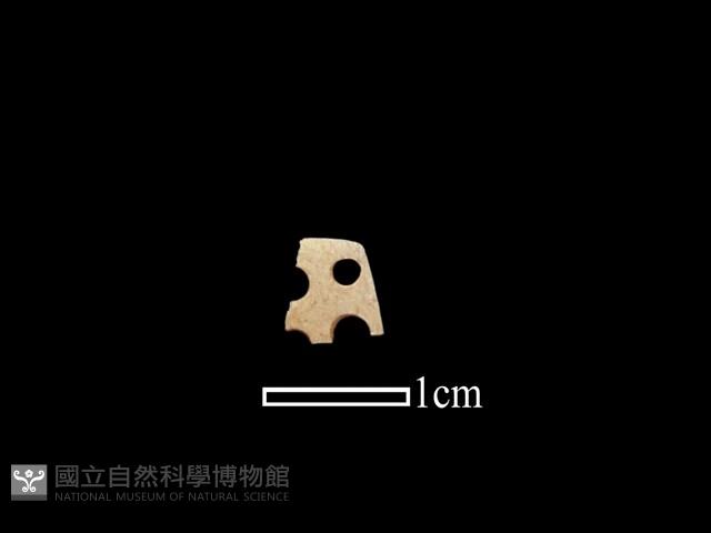 骨飾藏品圖，第1張