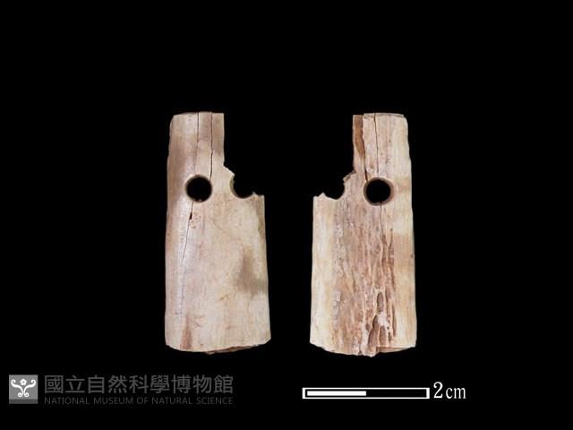 骨簪藏品圖，第1張