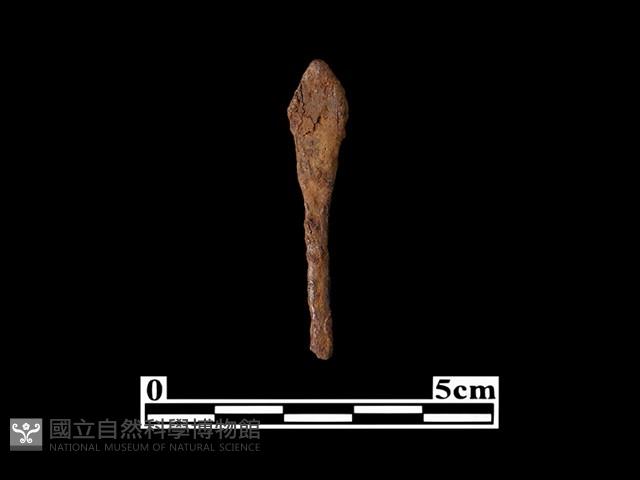 箭頭藏品圖，第1張