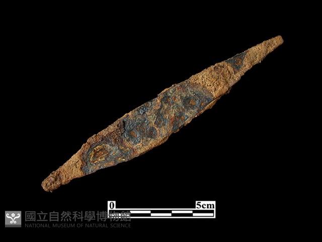 鎗頭藏品圖，第1張