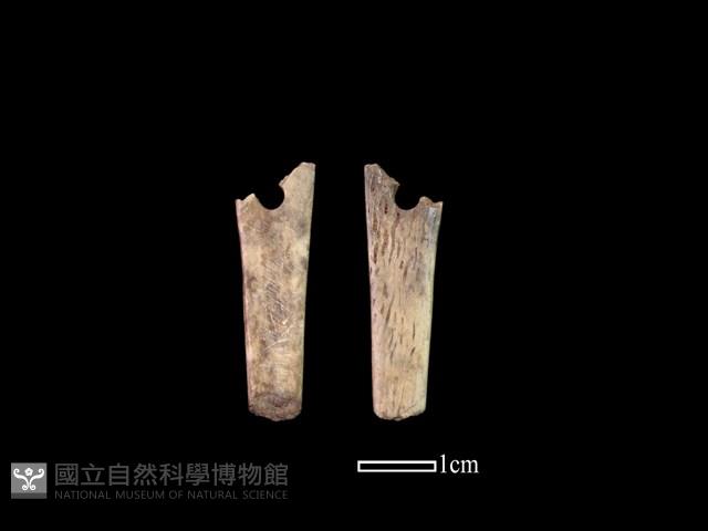 骨簪藏品圖，第1張