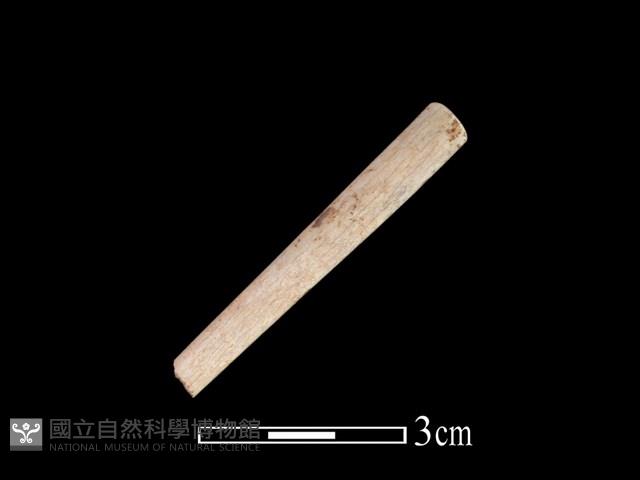 骨簪藏品圖，第1張