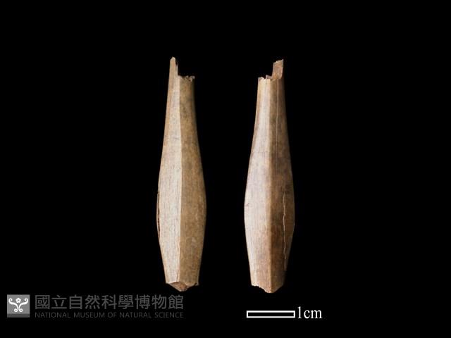 骨簪藏品圖，第1張