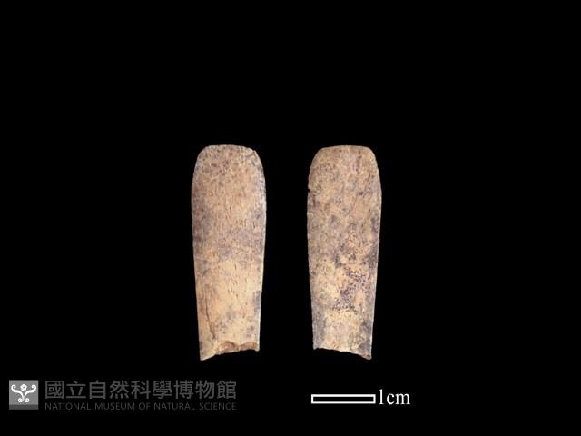 骨簪藏品圖，第1張