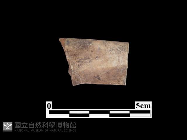 骨器藏品圖，第1張