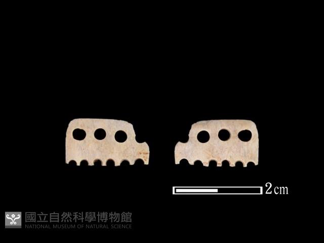 骨飾藏品圖，第1張