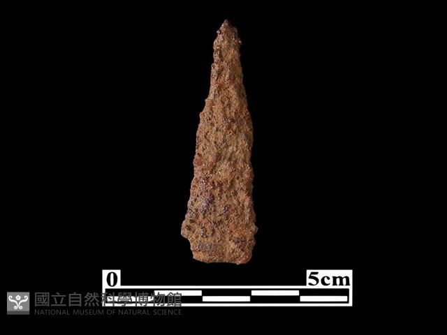 箭頭藏品圖，第1張