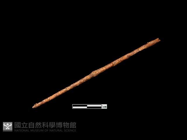 鐵針藏品圖，第1張