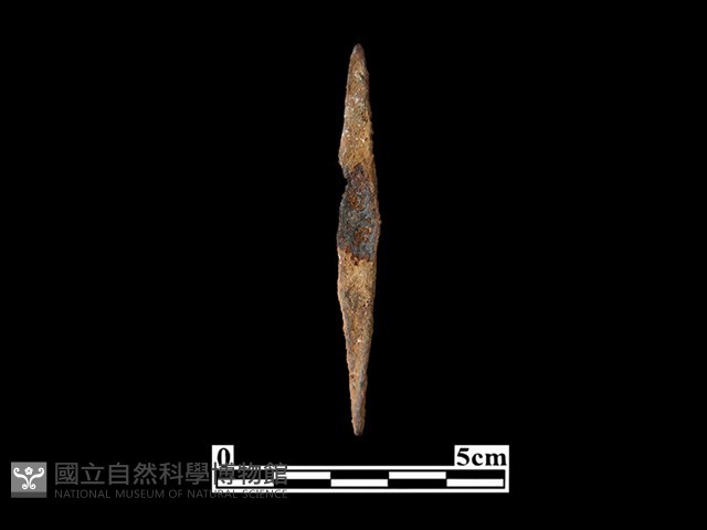 箭頭藏品圖，第1張