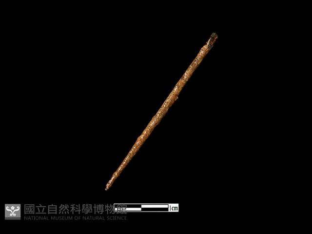 鐵針藏品圖，第1張