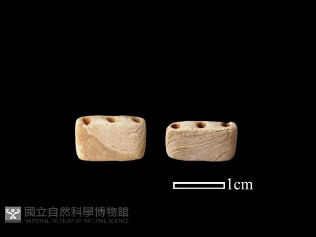 骨飾藏品圖，第1張