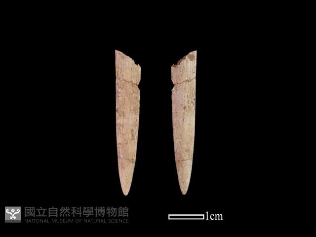 骨簪藏品圖，第1張