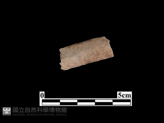 骨器藏品圖，第1張