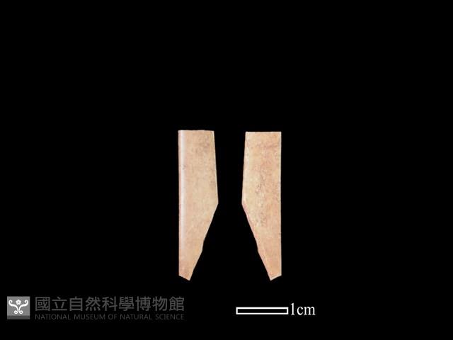 骨簪藏品圖，第1張