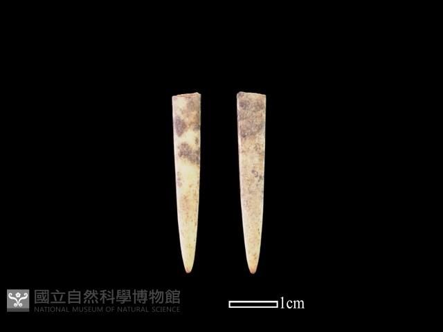 骨簪藏品圖，第1張