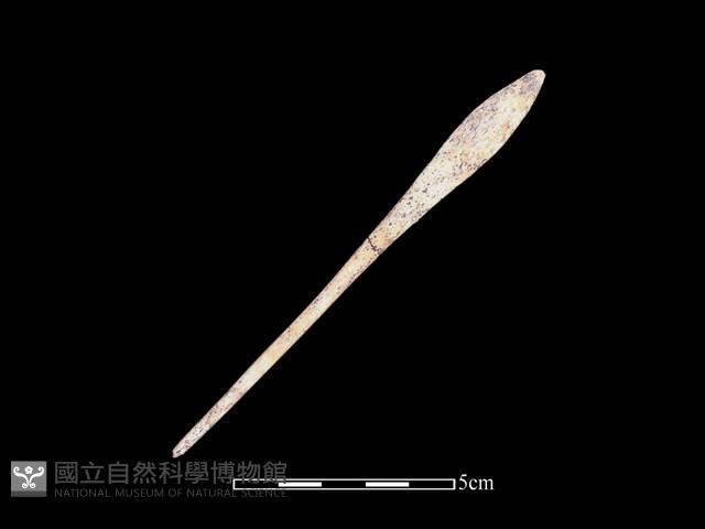 骨簪藏品圖，第1張