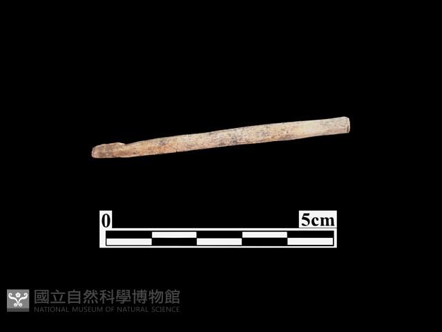 骨器藏品圖，第1張