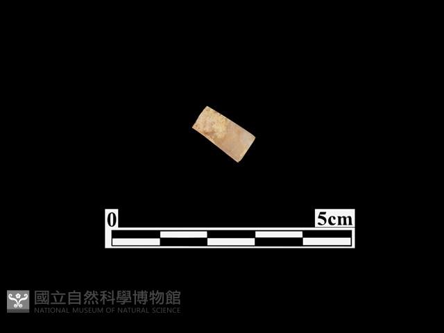 骨器藏品圖，第1張