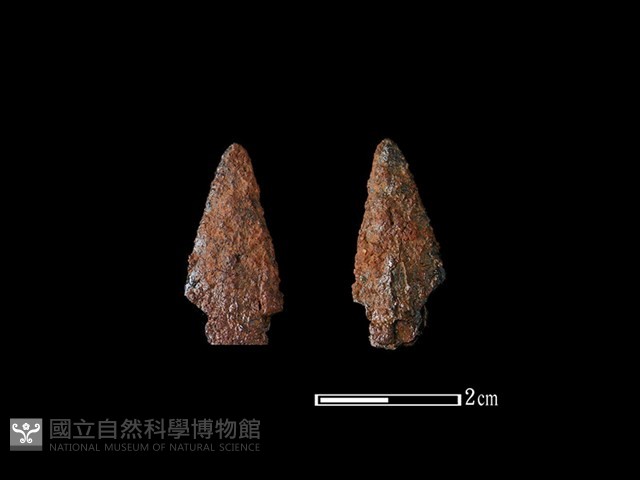 箭頭藏品圖，第1張