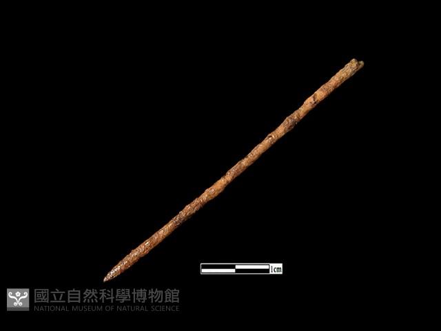 鐵針藏品圖，第1張