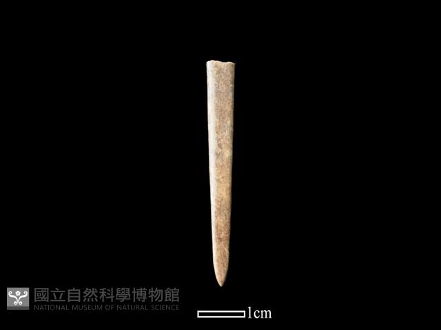 骨簪藏品圖，第1張