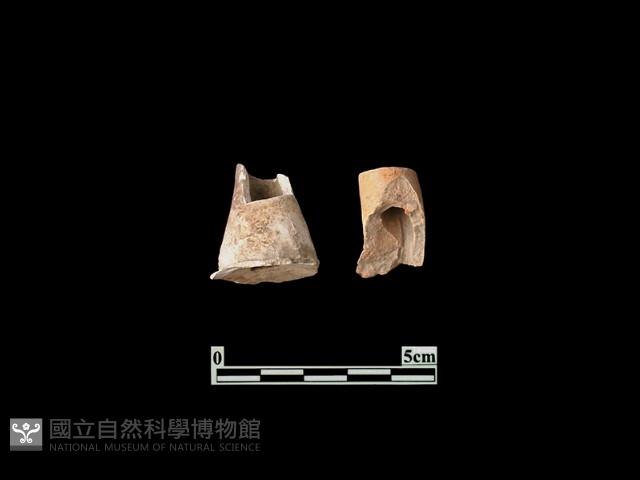 Accession Number:PTT-PP66 Collection Image, Figure 1, Total 2 Figures