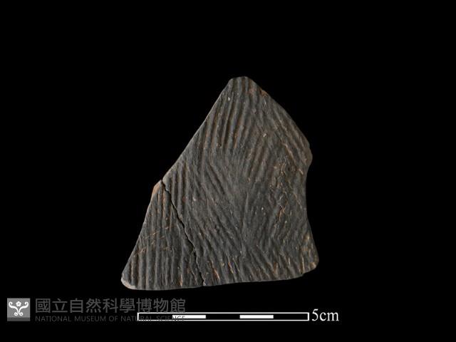 Accession Number:TC-2018-296 Collection Image