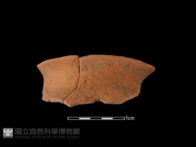 陶罐藏品圖，第2張