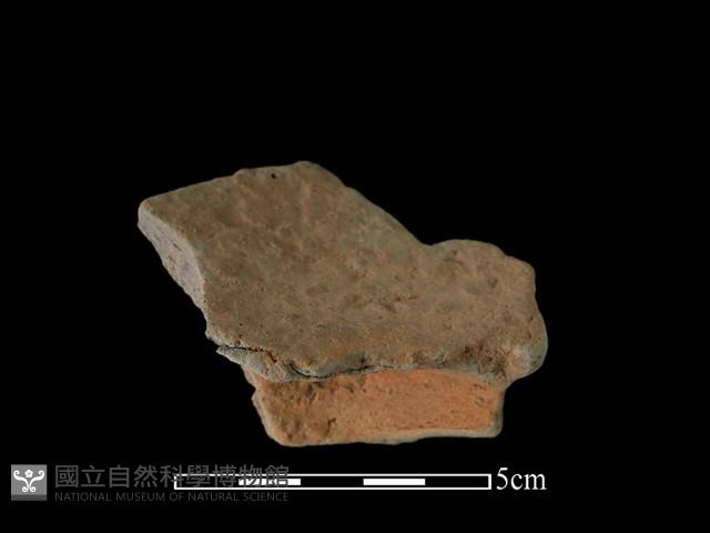 陶片藏品圖，第1張