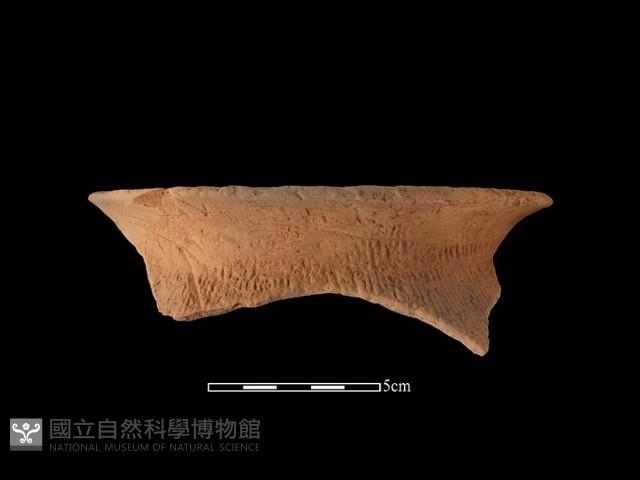 陶罐藏品圖，第2張