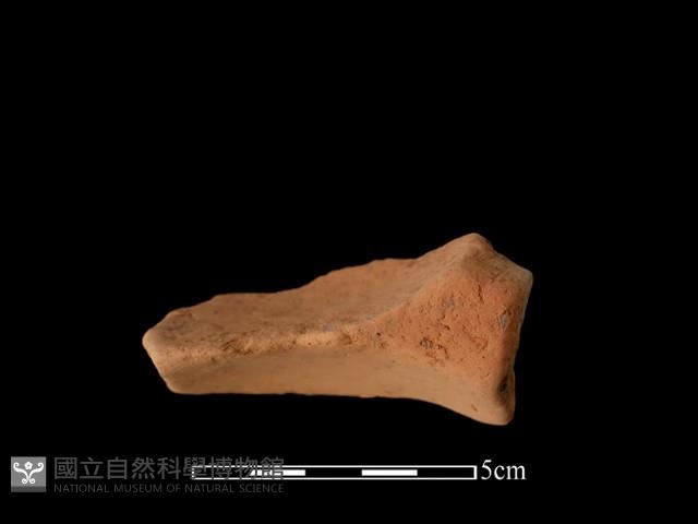 連杯形器藏品圖，第1張